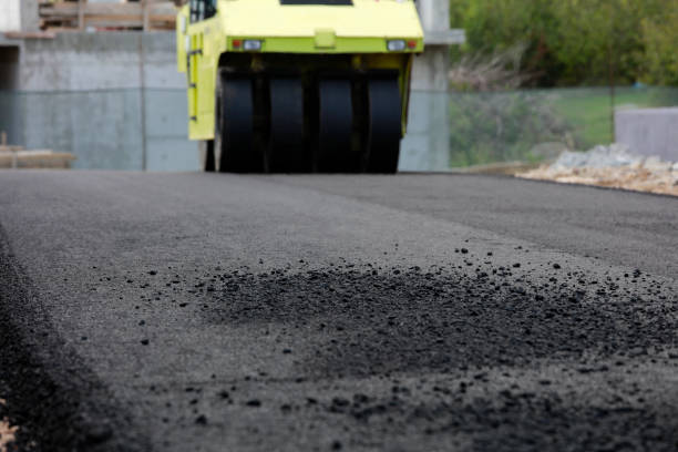 Best Driveway Paving Contractor  in Notre Dame, IN