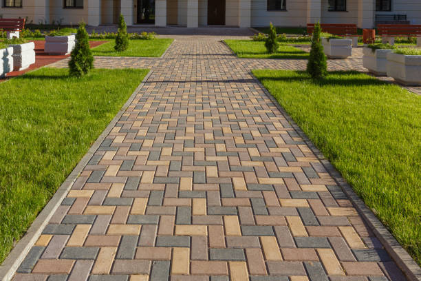 Best Driveway Paving Contractor  in Notre Dame, IN